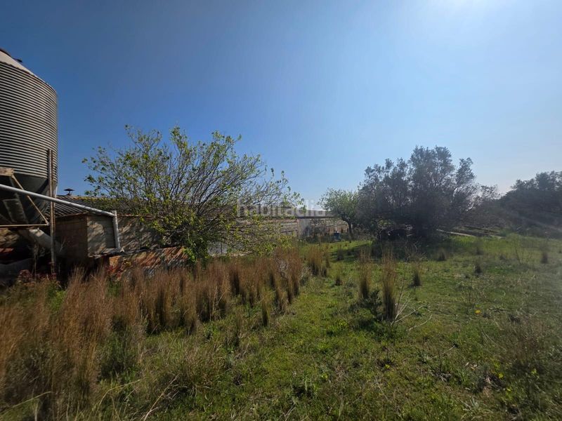 Foto 9a777053-5c5e-4522-8676-a6959b8a5b04. Finca rústica a Roquetes
