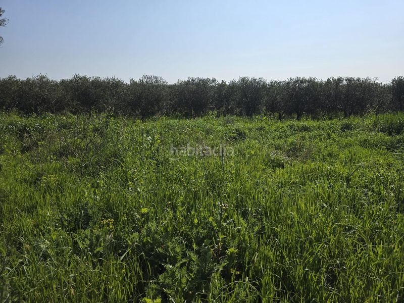 Foto c126ec1f-6514-4700-8b89-e14ef524b8e4. Finca rústica a Roquetes