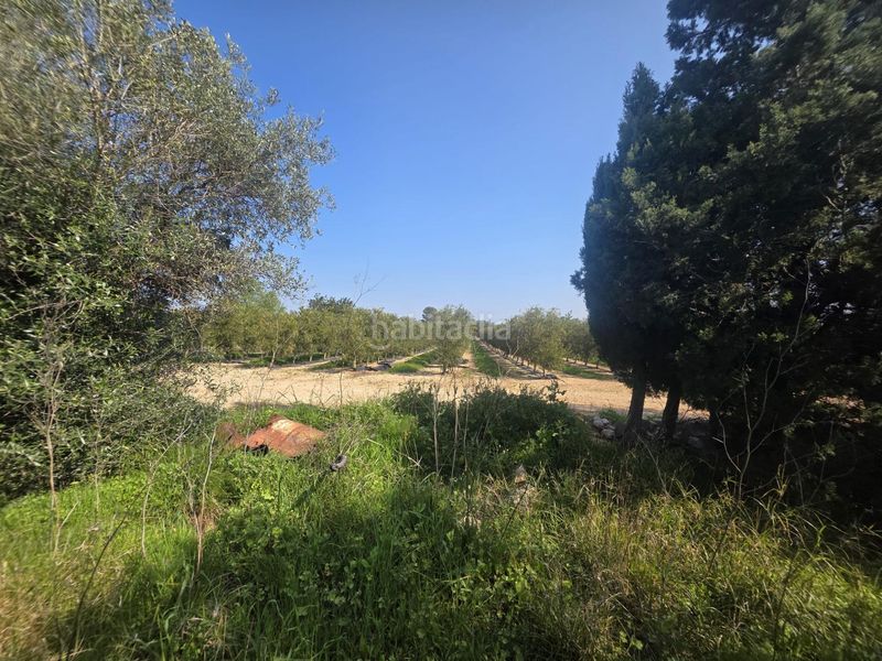 Foto d1b75eb4-6914-4e4c-b5a0-93121c4a0b53. Finca rústica a Roquetes