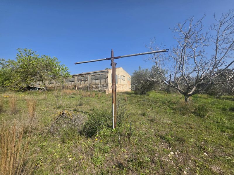 Foto d3104600-4773-418f-beb6-8d6bc1e11086. Finca rústica a Roquetes