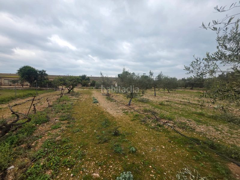 Foto 26f19d98-b277-4781-80ae-94b9343be081. Finca rústica a Riudecanyes