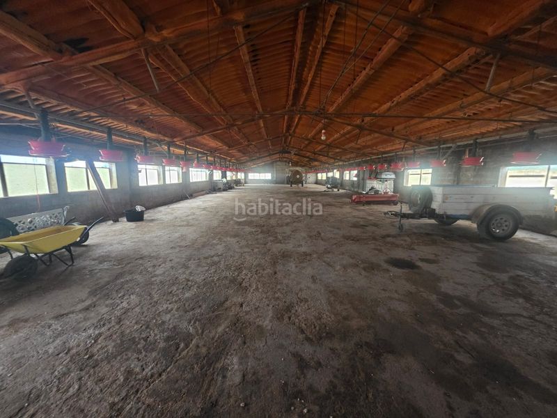 Foto 58472719-cafa-4836-87d0-e1cde959d53d. Finca rústica a Riudecanyes