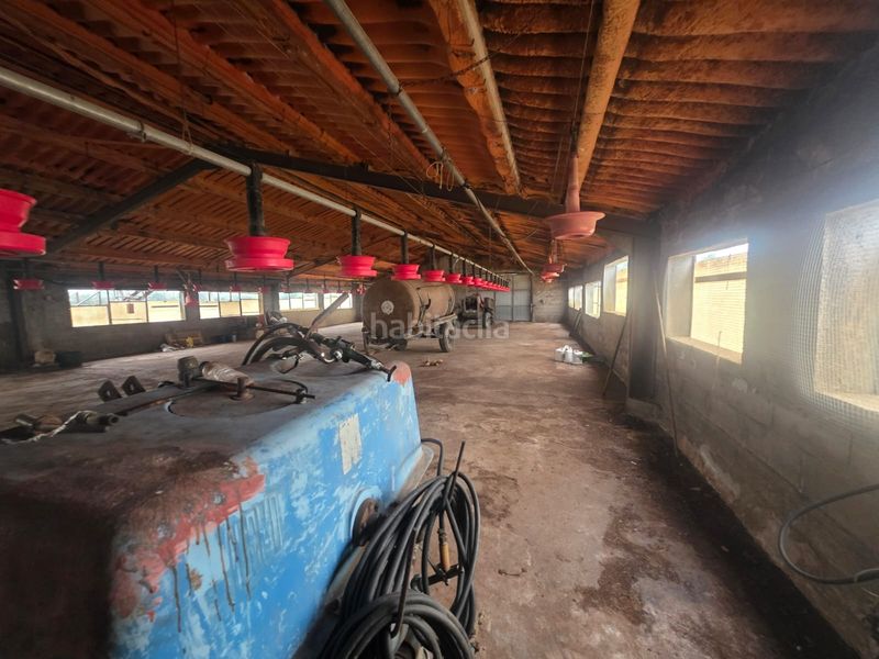Foto 5cb4f731-8e74-48c6-a239-27b1a770dfca. Finca rústica a Riudecanyes