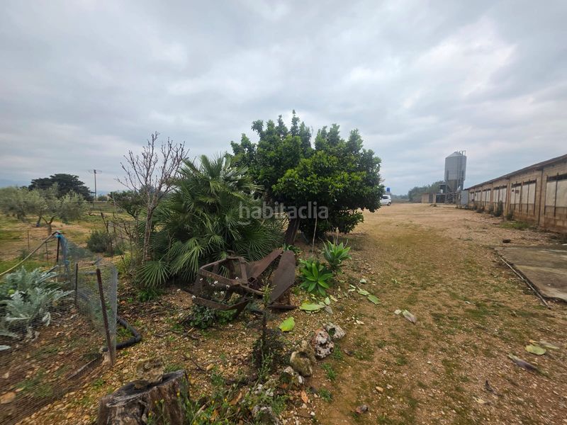 Foto 81381046-1546-4566-a22e-84d092f6ab88. Finca rústica a Riudecanyes