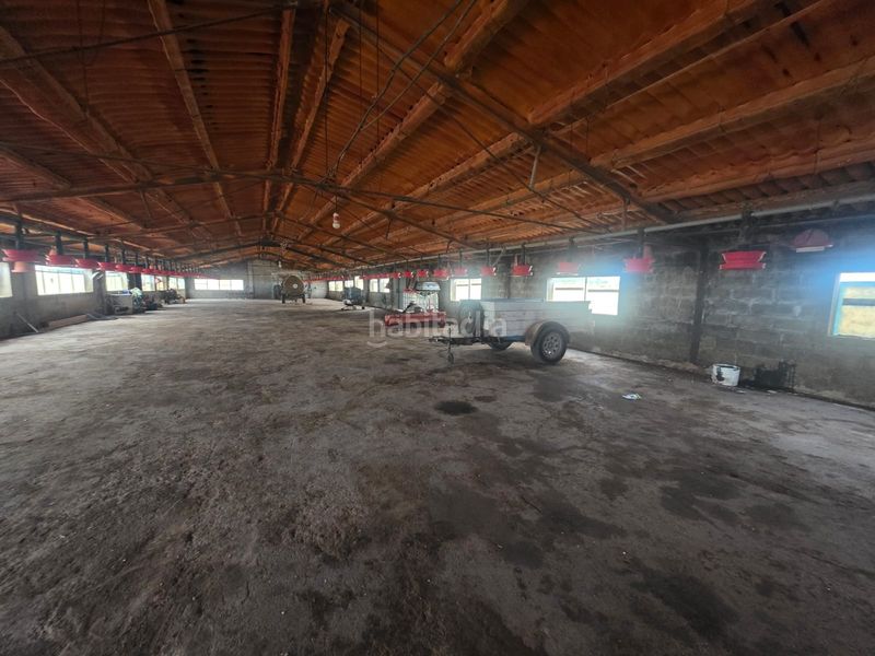 Foto 87b24656-ae53-4657-9630-43f97c221246. Finca rústica a Riudecanyes