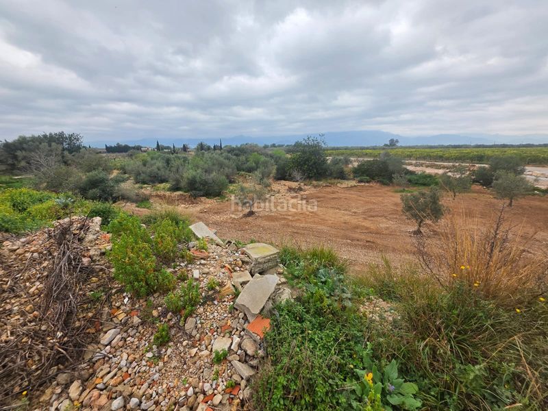 Foto b6664524-3cf7-427f-b2ae-984b713cb9a3. Finca rústica a Riudecanyes