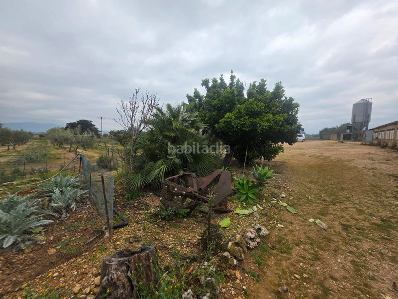 Foto b67d2d1a-ed0d-45a9-84bc-38e8c129ef71. Finca rústica a Riudecanyes