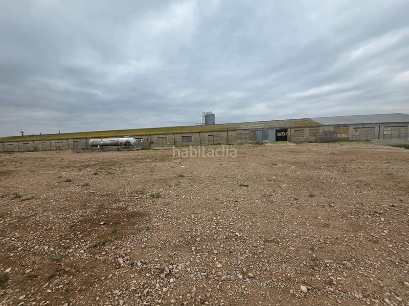 Foto c3fb1c50-444a-431b-87a5-4a688773ff8b. Finca rústica a Riudecanyes