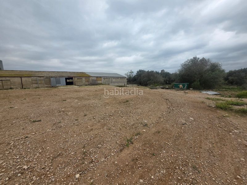 Foto e4c0271f-3dbe-4f85-8b26-679dd9e8a954. Finca rústica a Riudecanyes