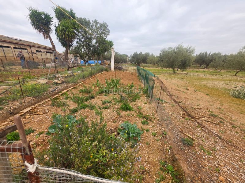 Foto e63dfd5f-0ce3-4310-bdac-383a79eb7165. Finca rústica a Riudecanyes