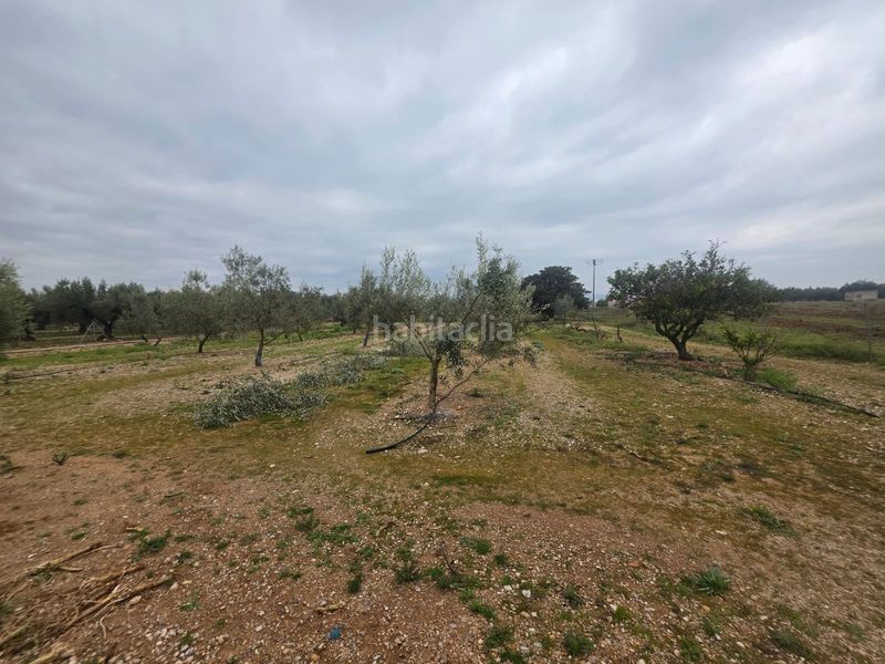 Foto e822cad2-ec96-450a-94f1-df8f6f6e8505. Finca rústica a Riudecanyes