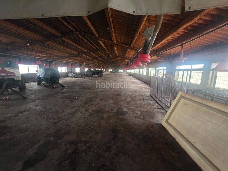 Foto f0f33d64-edb4-4745-874a-880e22255c1f. Finca rústica a Riudecanyes