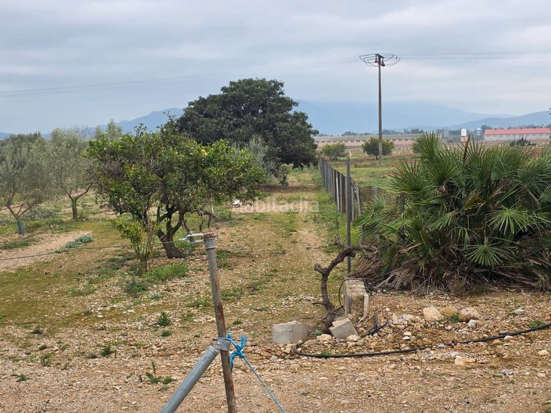 Foto f3745919-c025-4664-b851-5c566883b077. Finca rústica a Riudecanyes