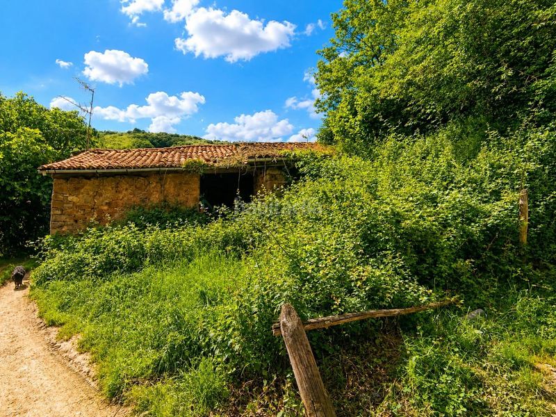 Foto 4c134fe1-ee4b-4666-a333-f1a621717e42. Casa a Lena