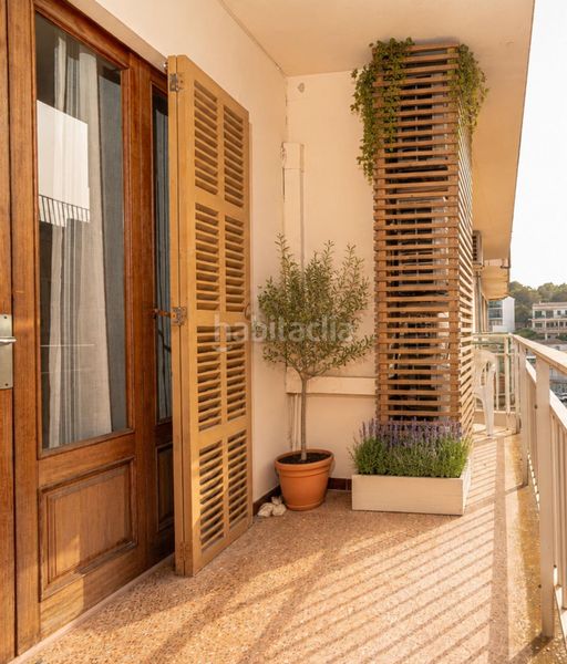 Foto c839df90-ac0d-44f1-9cf7-540e71f2d546. Apartament a Porto Cristo Manacor