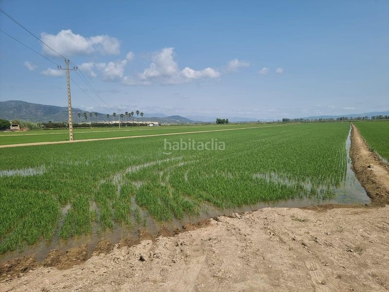 Foto 0bbef5d7-cc4f-4257-b9f0-89677c50b06d. Finca rústica a Centre La Ràpita