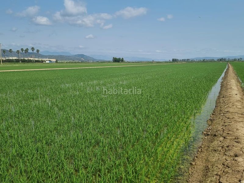 Foto a1a54404-eef8-4b1c-86b5-c05cf0e50f04. Finca rústica a Centre La Ràpita