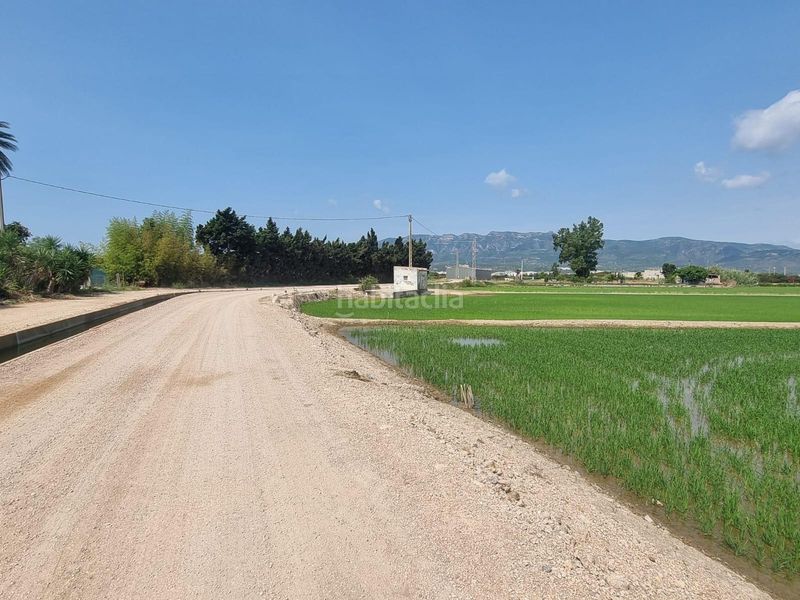 Foto da555f5c-64a1-4329-a6ee-f378c83dbc91. Finca rústica a Centre La Ràpita