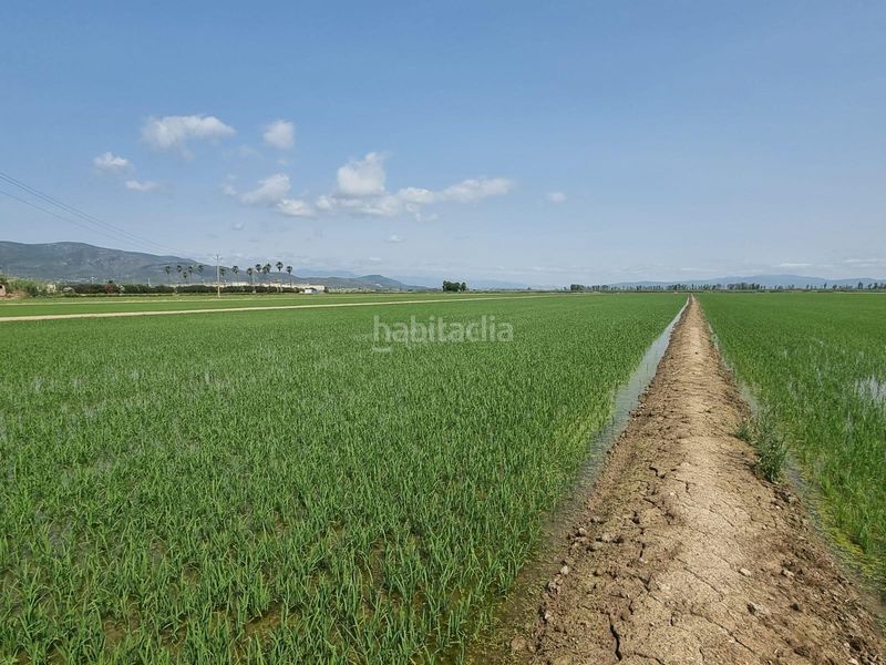 Foto f5d0a804-ff26-4aa6-a06f-ab400008f8a2. Finca rústica a Centre La Ràpita