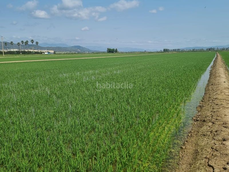 Foto fa1703bc-0742-4748-8853-cb5d5b2fd728. Finca rústica a Centre La Ràpita