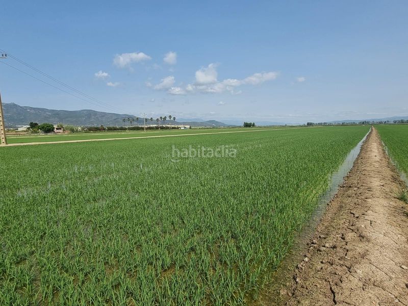 Foto fb94a7d3-40ee-4ec3-b3e7-cd2a4999622a. Finca rústica a Centre La Ràpita
