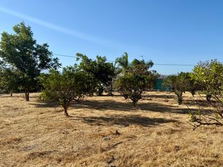 Fondo rustico in Coín. Parcela rústica de regadío llana, con frutales, vallada, con agu