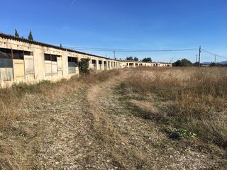 Finca rústica a Ulldecona. Gran oportunidad agrícola en ulldecona finca rústica con gran na