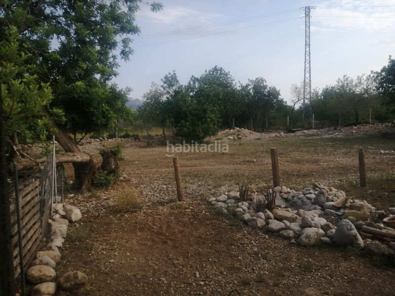 Foto a35f1d09-3505-4e40-bf49-633a4157d4f2. Finca rústica a Ulldecona