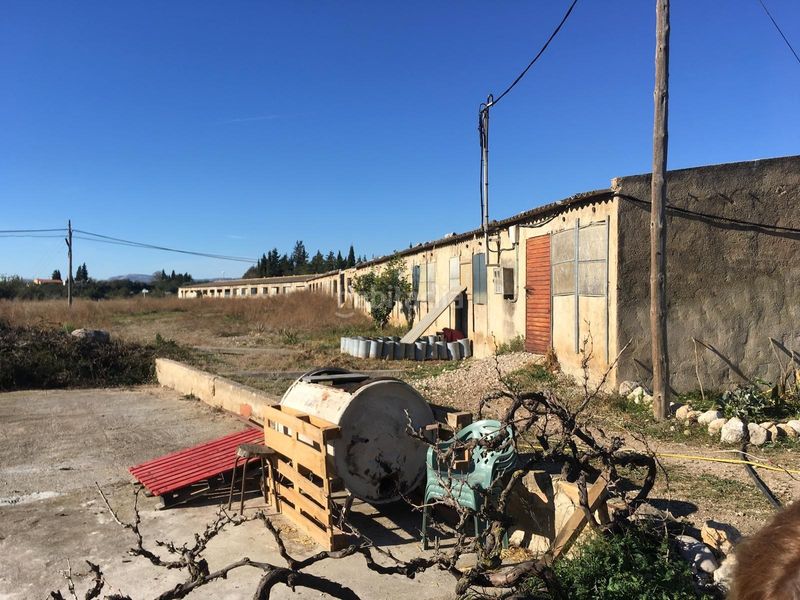 Foto b11aaa83-74bc-4107-8d67-29bad0f34892. Finca rústica a Ulldecona