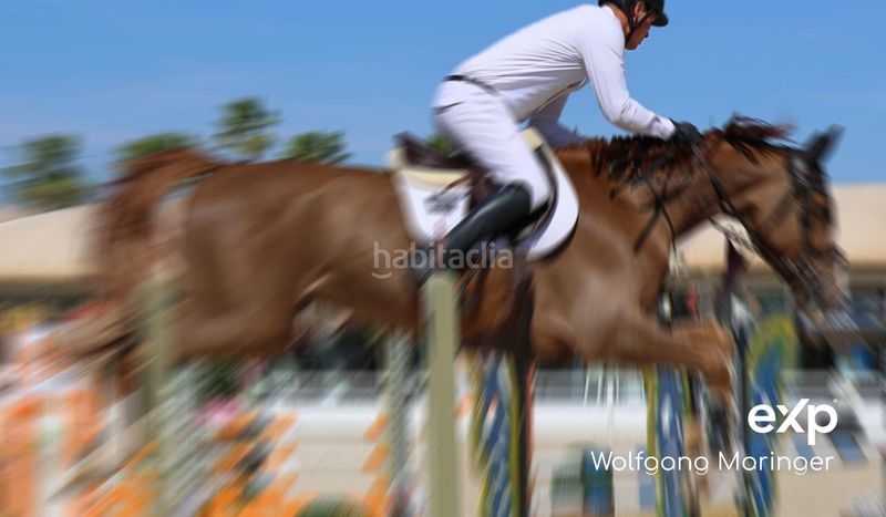 Foto aaa97fbc-7961-4628-bdf2-0929cc50cf62. Dúplex amb calefacció aparcament piscina a Oliva nova Oliva