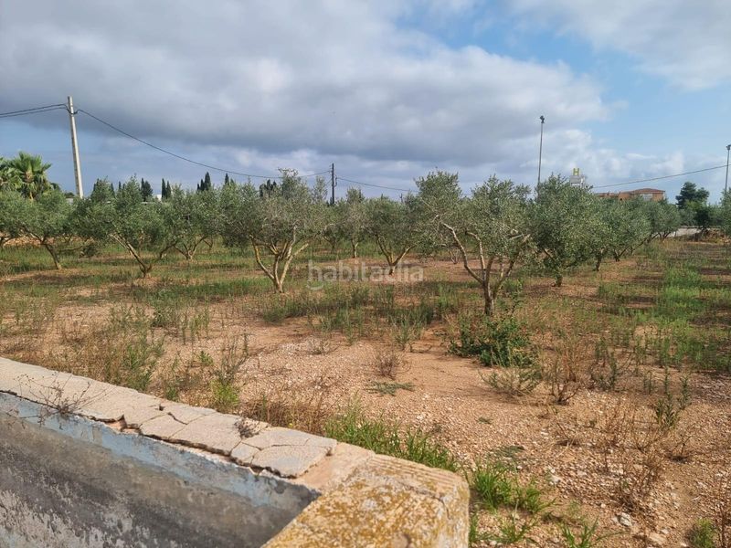 Foto 483f28cf-5f75-4b80-9c4e-fc8c092ef9ca. Finca rústica a Valletes - Xiribecs Amposta