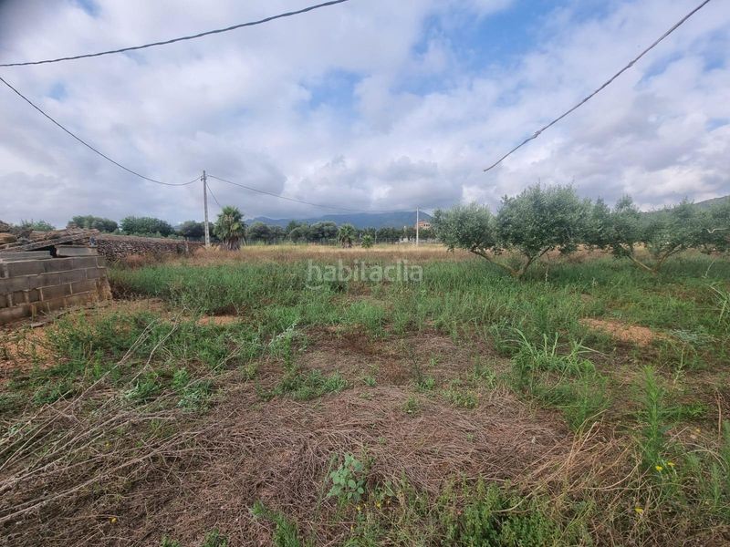 Foto 54c15782-cf76-42ef-9465-fb3889d25240. Finca rústica a Valletes - Xiribecs Amposta