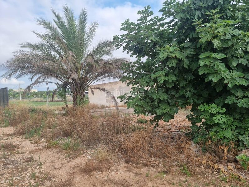 Foto f4929d14-a8b5-403d-9eee-e23db17535bf. Finca rústica a Valletes - Xiribecs Amposta