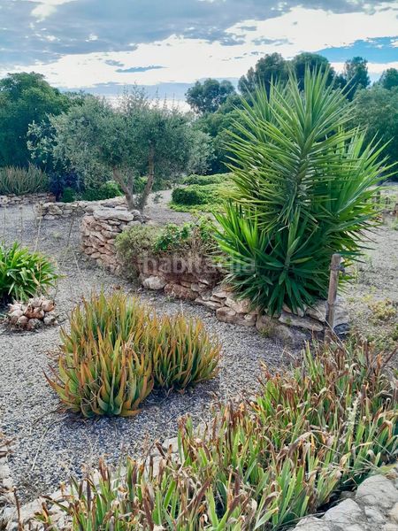 Foto 13d8d8a6-a9c6-4675-834e-a9cccab29b72. Casa amb aparcament piscina a Valls
