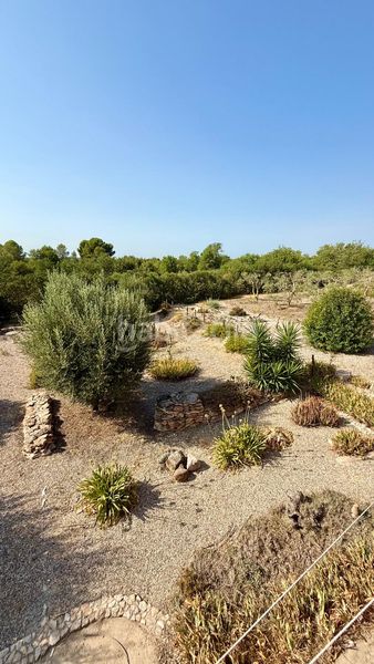 Foto 6bbde75f-4d57-437b-bc96-145a93e94008. Casa amb aparcament piscina a Valls