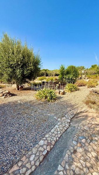 Foto 737bbb1f-e3c4-4f0a-be30-d2a785ab8a7f. Casa amb aparcament piscina a Valls