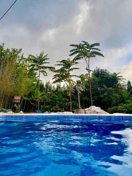 Foto c909394b-a4d7-4070-9ca0-cf1ae43081cd. Casa amb aparcament piscina a Valls