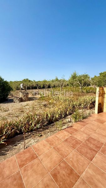 Foto f9049912-b74c-4238-bcf6-faac368acf97. Casa amb aparcament piscina a Valls