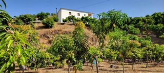 Finca rústica a Norte - Barrio del Pilar - El Reñidero. Finca agrícola de prestigio  axarquía, málaga