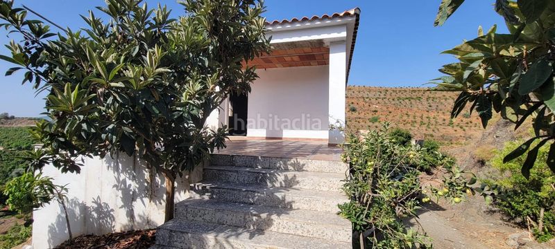 Foto 1bad32a6-1262-43ec-9084-116cd216295c. Finca rústica a Norte - Barrio del Pilar - El Reñidero Vélez - Málaga