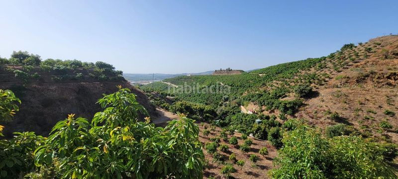 Foto 53c9fa7d-a719-44d2-910e-20e123de5891. Finca rústica a Norte - Barrio del Pilar - El Reñidero Vélez - Málaga