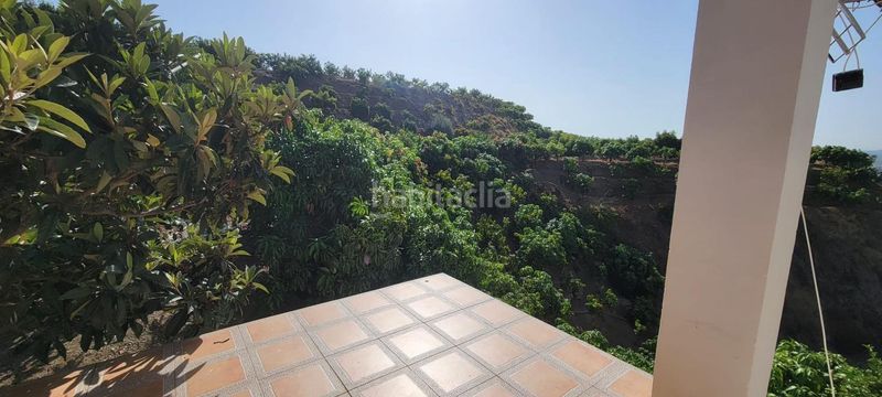 Foto 63b8cdcc-3758-4968-bf57-77ef4e9ddbeb. Finca rústica a Norte - Barrio del Pilar - El Reñidero Vélez - Málaga