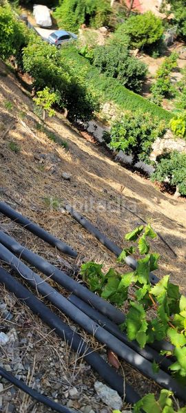 Foto 93b0e884-8f0a-4f44-aa83-f9ff2ada6362. Finca rústica a Norte - Barrio del Pilar - El Reñidero Vélez - Málaga