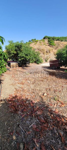 Foto ef584061-b6e8-412b-af1c-91e173d52913. Finca rústica a Norte - Barrio del Pilar - El Reñidero Vélez - Málaga