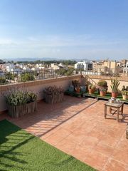 Rent Flat in Padre Jaime-Los Cabos. Espectacular ático con vistas al mar y a la montaña en playa pue