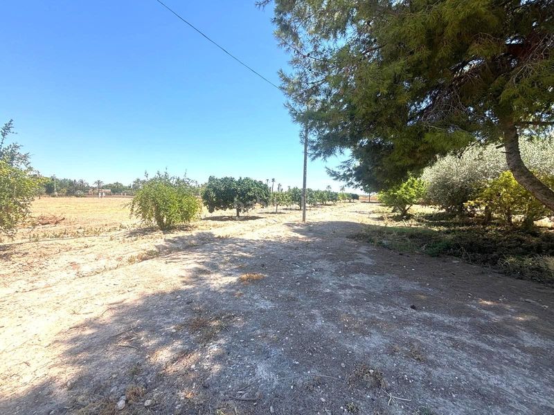 Foto 1cf7a5df-6fa4-45ce-b795-425fe2bd773f. Casa amb aparcament a La Portalada Elche / Elx