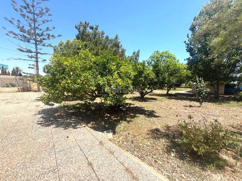 Foto 71fd9158-dd17-4d70-8419-a1b58d172b55. Casa amb aparcament a La Portalada Elche / Elx