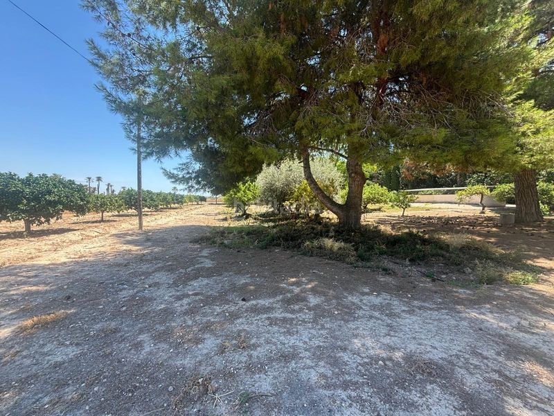 Foto a8b28b38-257e-424d-8b72-be7f83341e72. Casa amb aparcament a La Portalada Elche / Elx