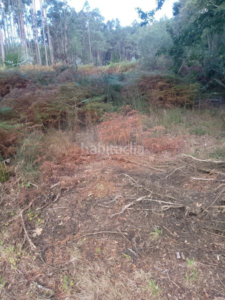 Foto 479bf751-622b-4fe2-a454-9e65dce0c76c. Finca rústica a Meis