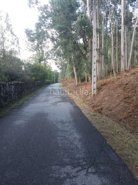 Foto 5b285589-789a-47fe-9fb6-e7bd2b6265b5. Finca rústica a Meis